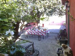 Casa Amoreira - Quinta Amoreira