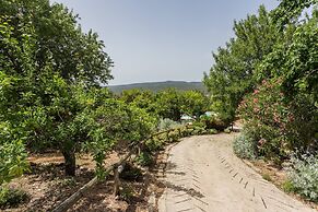Casa Amoreira - Quinta Amoreira