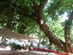 Casa Amoreira - Quinta Amoreira