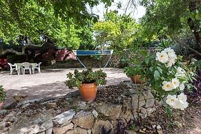 Casa Amoreira - Quinta Amoreira
