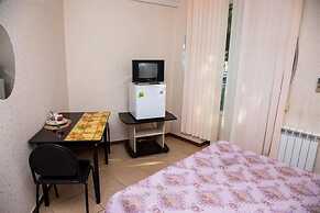 Guest house  Alina on Lenin street
