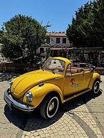 My Dream Bozcaada