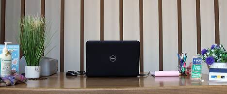 Amarilis near Sam Poo Kong