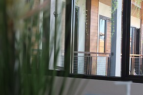 Amarilis near Sam Poo Kong