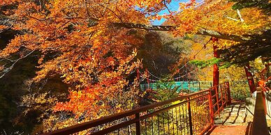 Nikko National Park Kawamataonsen Kura