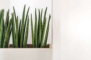 Aurà - Guest House Iblea