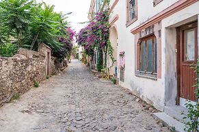 Siyah Lale Cunda 1841