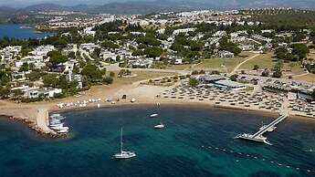 Siyah Lale Cunda 1841