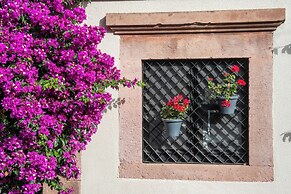 Siyah Lale Cunda 1841