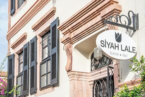 Siyah Lale Cunda 1841