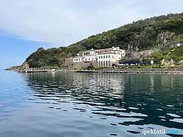 Siyah Lale Cunda 1841