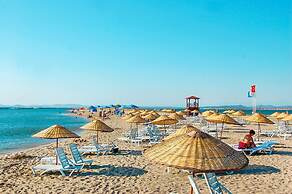 Siyah Lale Cunda 1841