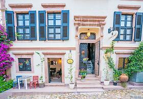 Siyah Lale Cunda 1841