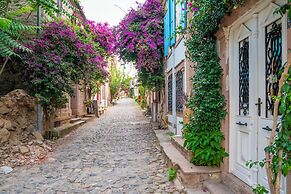 Siyah Lale Cunda 1841