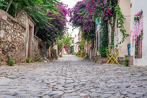 Siyah Lale Cunda 1841