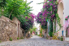 Siyah Lale Cunda 1841