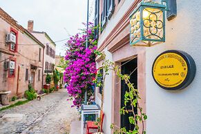 Siyah Lale Cunda 1841