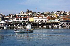 Siyah Lale Cunda 1841