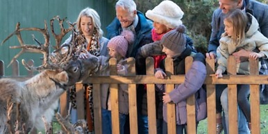 Jonstone Pines Lodge at Cayton Bay Holiday Park