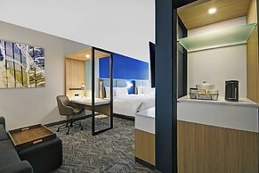 SpringHill Suites by Marriott St. Paul Arden Hills