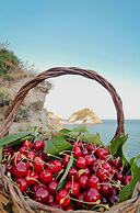 Villa Bina Sea Hotel