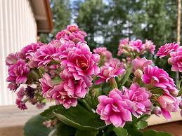 Olo Center by Kolovesi National Park