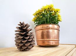 Olo Center by Kolovesi National Park