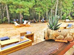 Vallicciola Nature Hotel