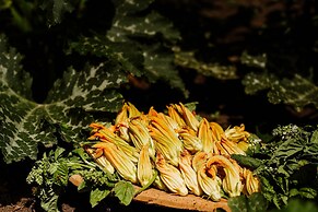 Vallicciola Nature Hotel