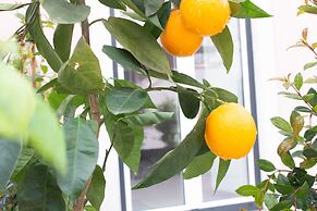 Cardeal Suites & Apartments