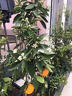 Cardeal Suites & Apartments