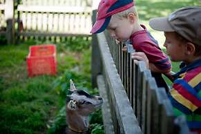 Familienbauernhof Mesner