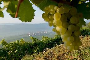 Weingut Bäuerl