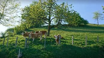 Ferienhof Rabenreith