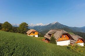 Almresort Baumschlagerberg