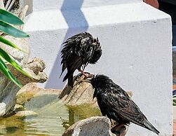 Seahawk Holiday Apartments