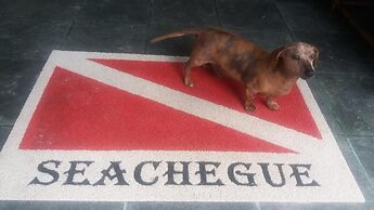 Pousada Seachegue