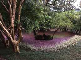 Pousada Villa Dei Fiori