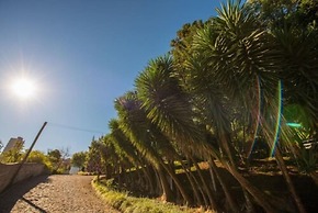 Pousada Villa Dei Fiori