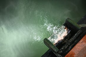 Bandai Meito Resort Bonari no Mori