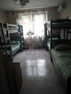 Hostel Petrovskiy