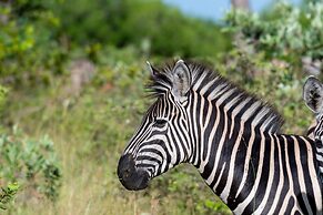 Kruger Shalati - Train on the Bridge and Garden Suites