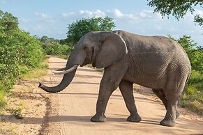 Kruger Shalati - Train on the Bridge and Garden Suites