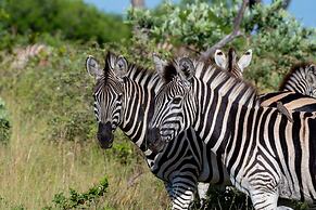 Kruger Shalati - Train on the Bridge and Garden Suites