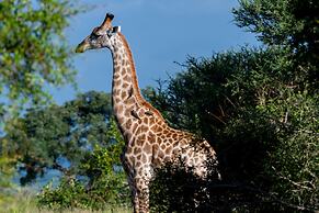 Kruger Shalati - Train on the Bridge and Garden Suites