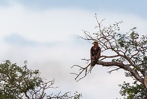 Kruger Shalati - Train on the Bridge and Garden Suites
