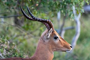Kruger Shalati - Train on the Bridge and Garden Suites