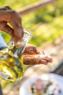 Kruger Shalati - Train on the Bridge and Garden Suites