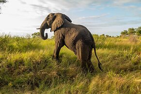 Kruger Shalati - Train on the Bridge and Garden Suites
