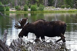 Heavenly Pines -- Ev #3361 5 Bedroom Home by RedAwning